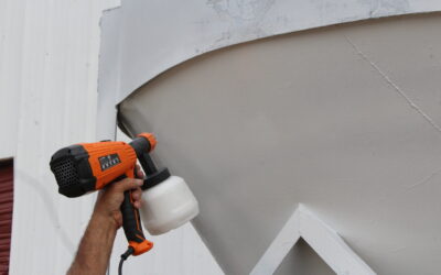 Paint Sprayer Review