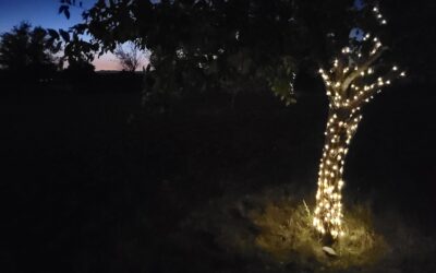 Tip to Installing Solar Fairy Lights – GREAT Outside Solar Landscape Lights!